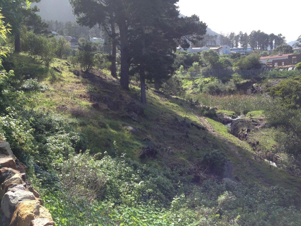 Chateau Neuf Du Cap Hout Bay Eksteriør bilde